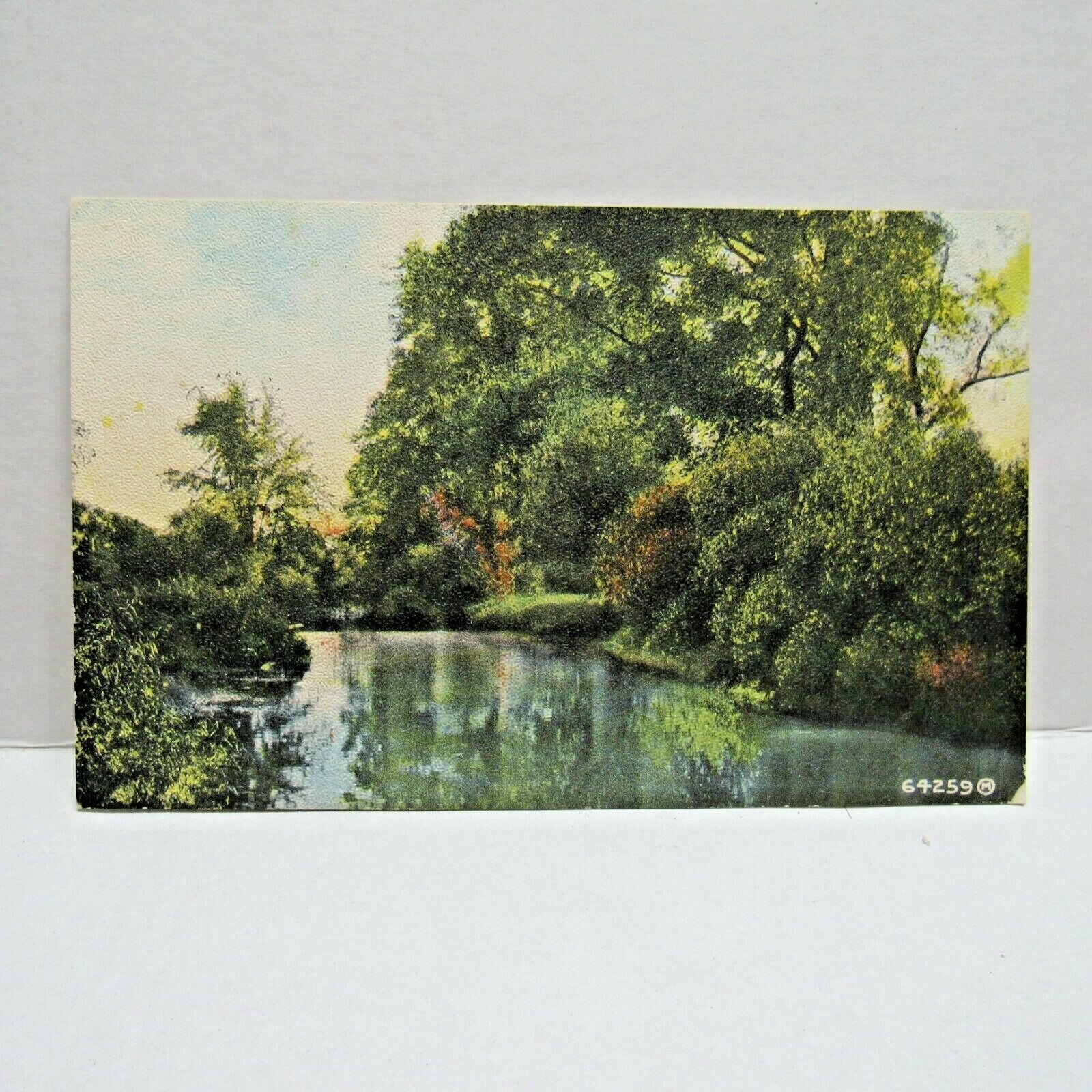 Postcard Vintage Unknown River Stream Creek Trees Nature Collectible