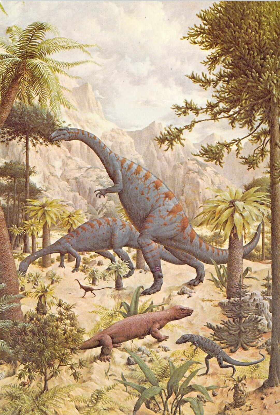 1977 Peabody #1  Museum Reptiles Mural 3 Dinosaur Podokesaurus 4x6 postcard L157