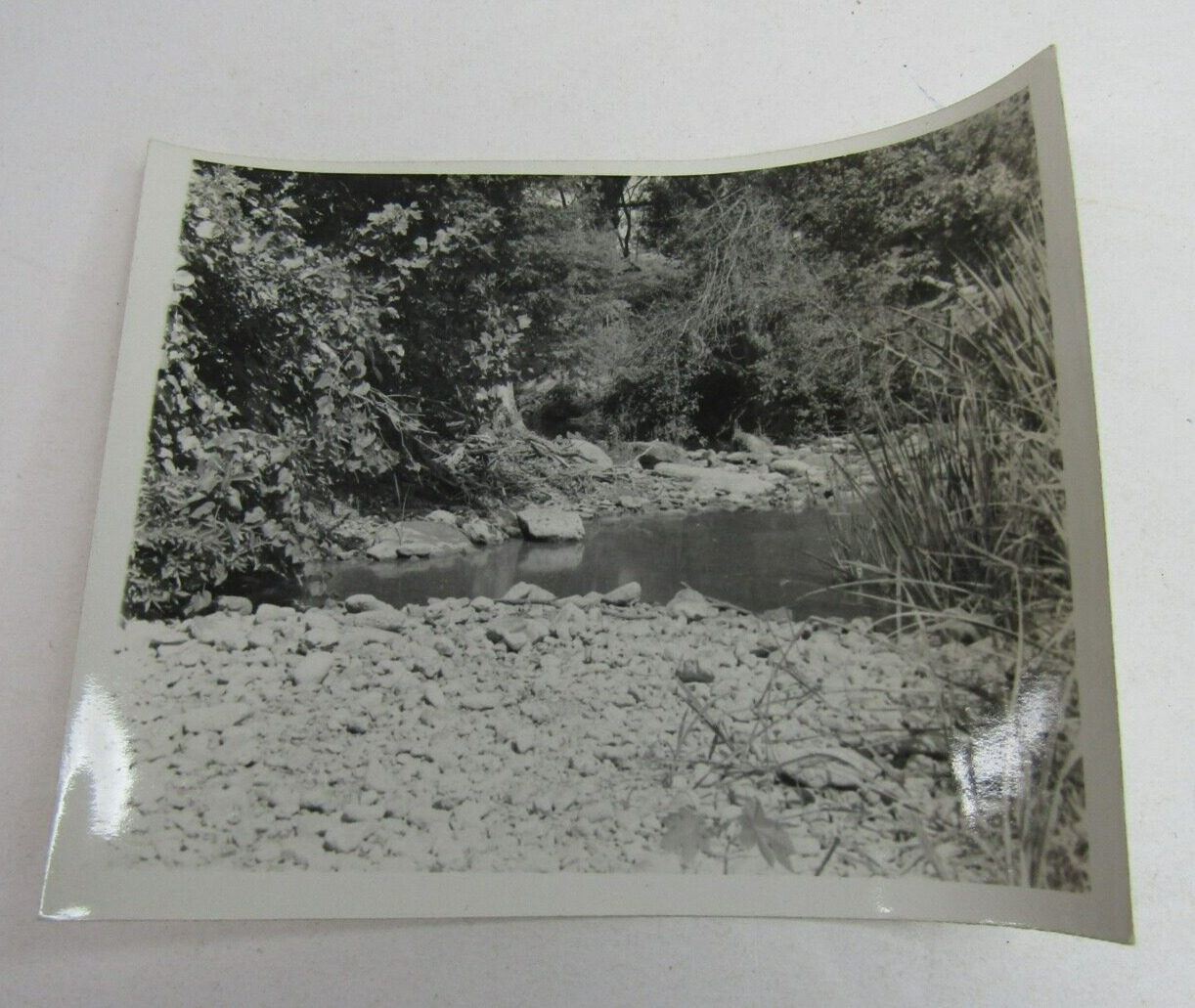 VTG Found Photo Snapshot Nature Gaudalupe River New Braunfels Texas 1950\'s