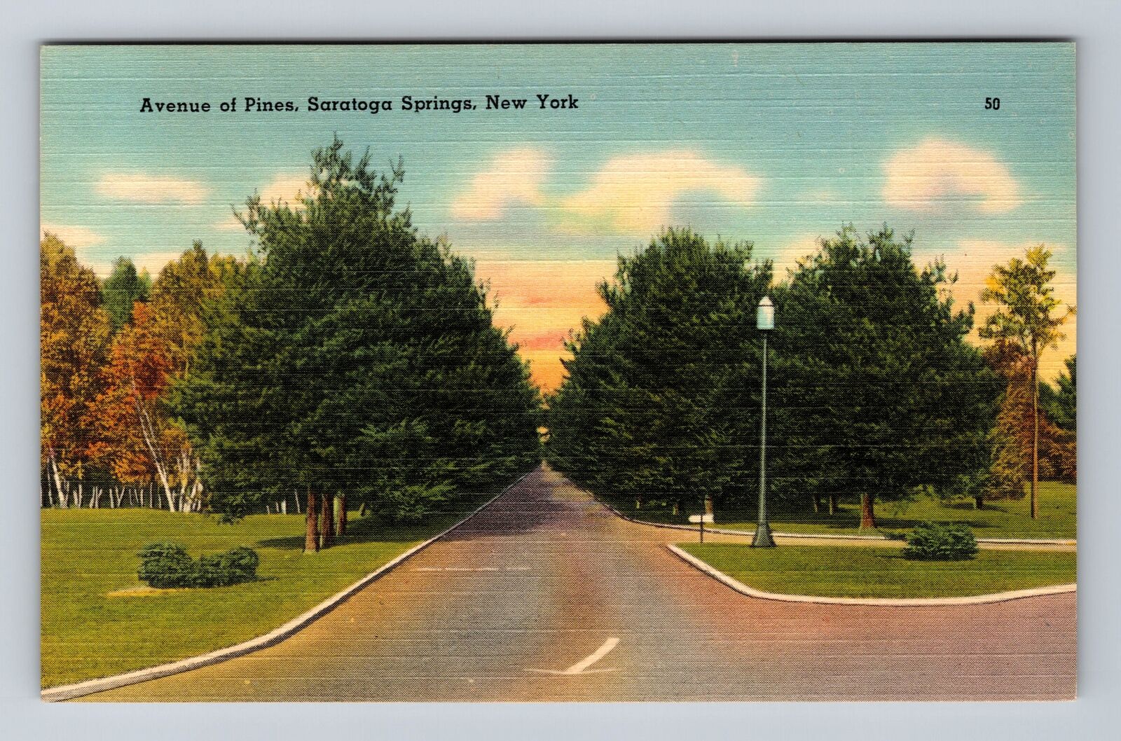 Saratoga Springs NY-New York, Avenue Of Pines, Antique, Vintage Postcard