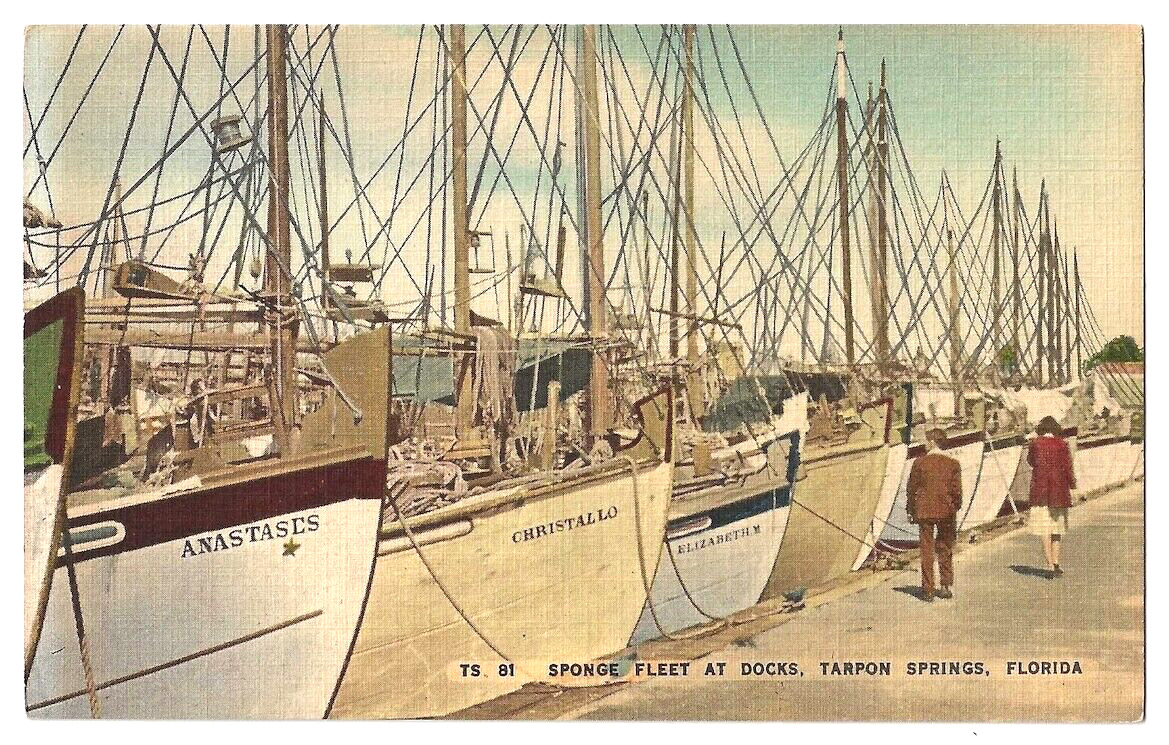 Tarpon Springs Florida c1940\'s Sponge Fleet, boats at dock