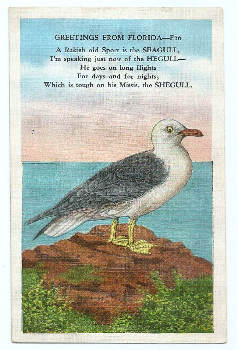 FL Postcard Florida Sea Gull Poem Linen