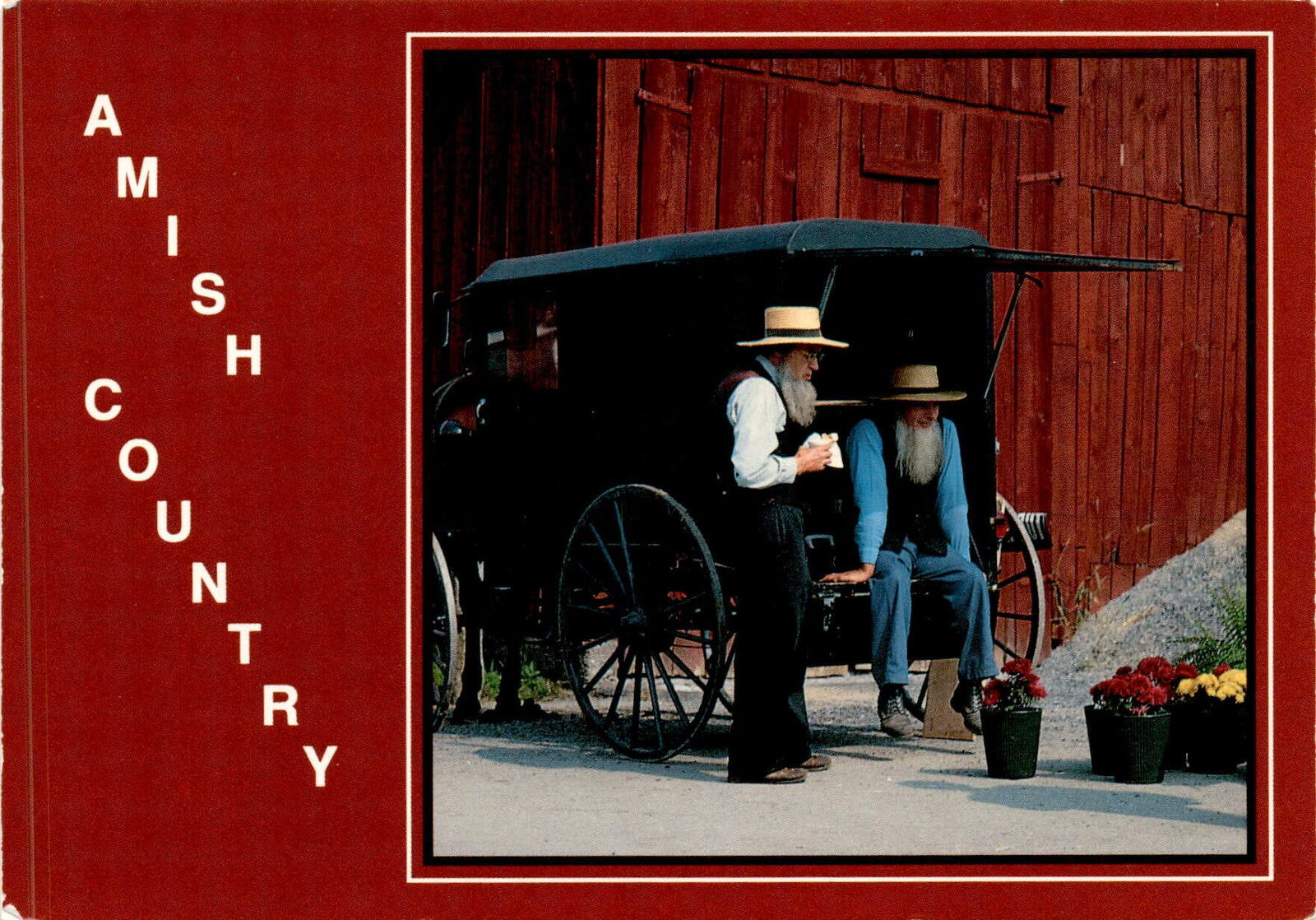 Amish countryside, gentlemen, flowers, auction, vibrant colors, rural l postcard