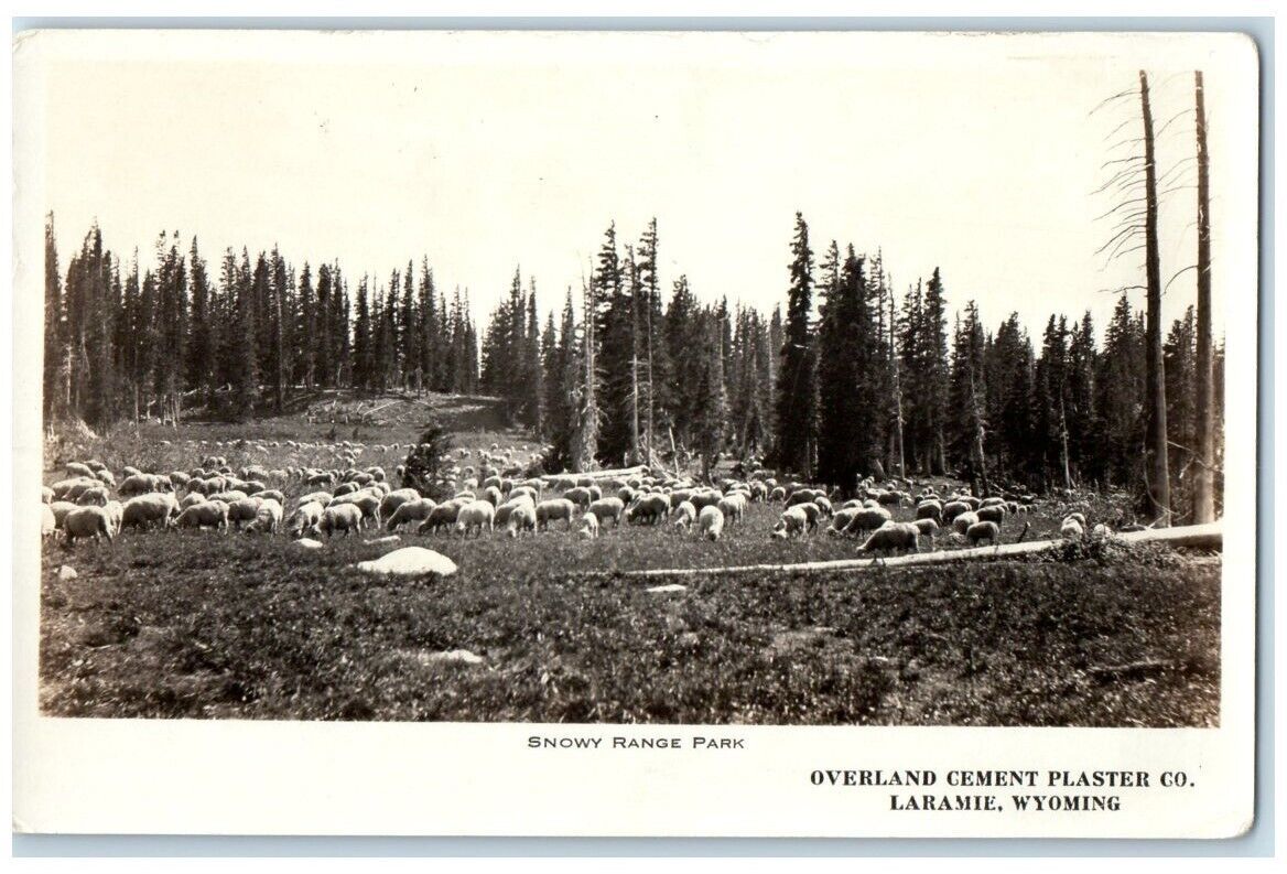 c1940 Sheep View Overland Cement Plaster Co. Snowy Range WY RPPC Photo Postcard