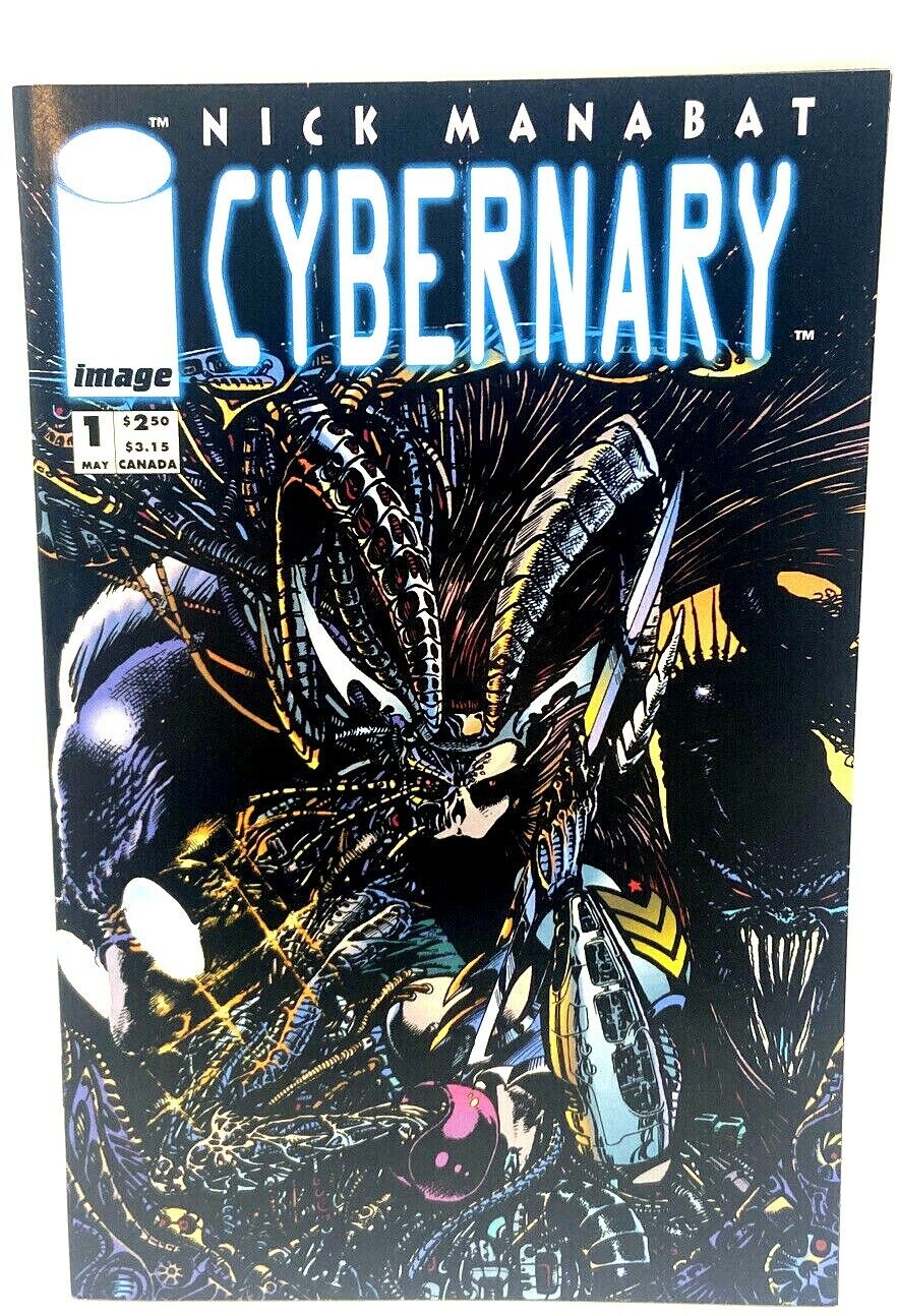 Cybernary #1, image comics,80/80, unread
