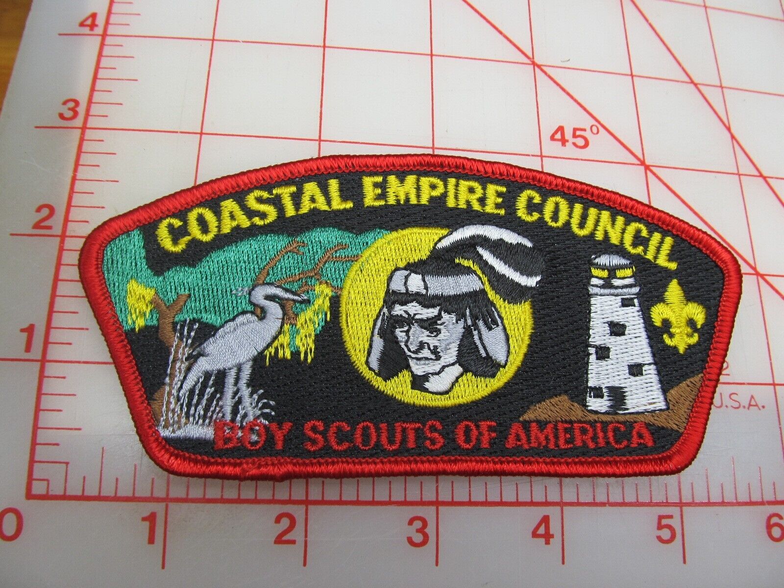 Coastal Empire Council CSP collectible patch (y5)