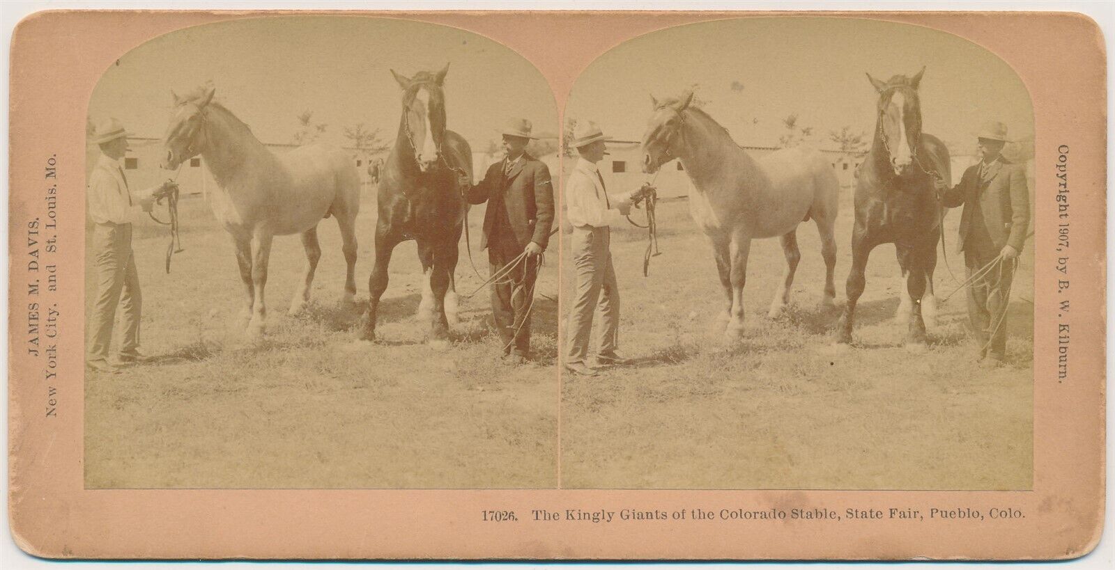 COLORADO SV - Pueblo - State Fair Horses - BW Kilburn c1907