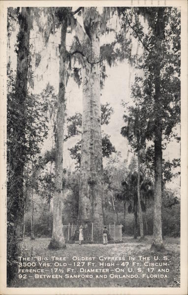 1955 RPPC Sanford,FL The \