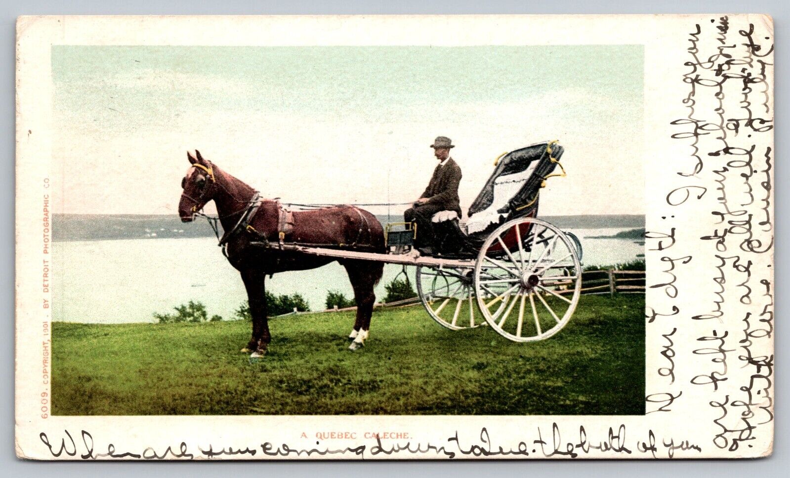 Postcard Undivided back 1905 Gentleman Driving Horse Elegant Two Wheel Cart A25