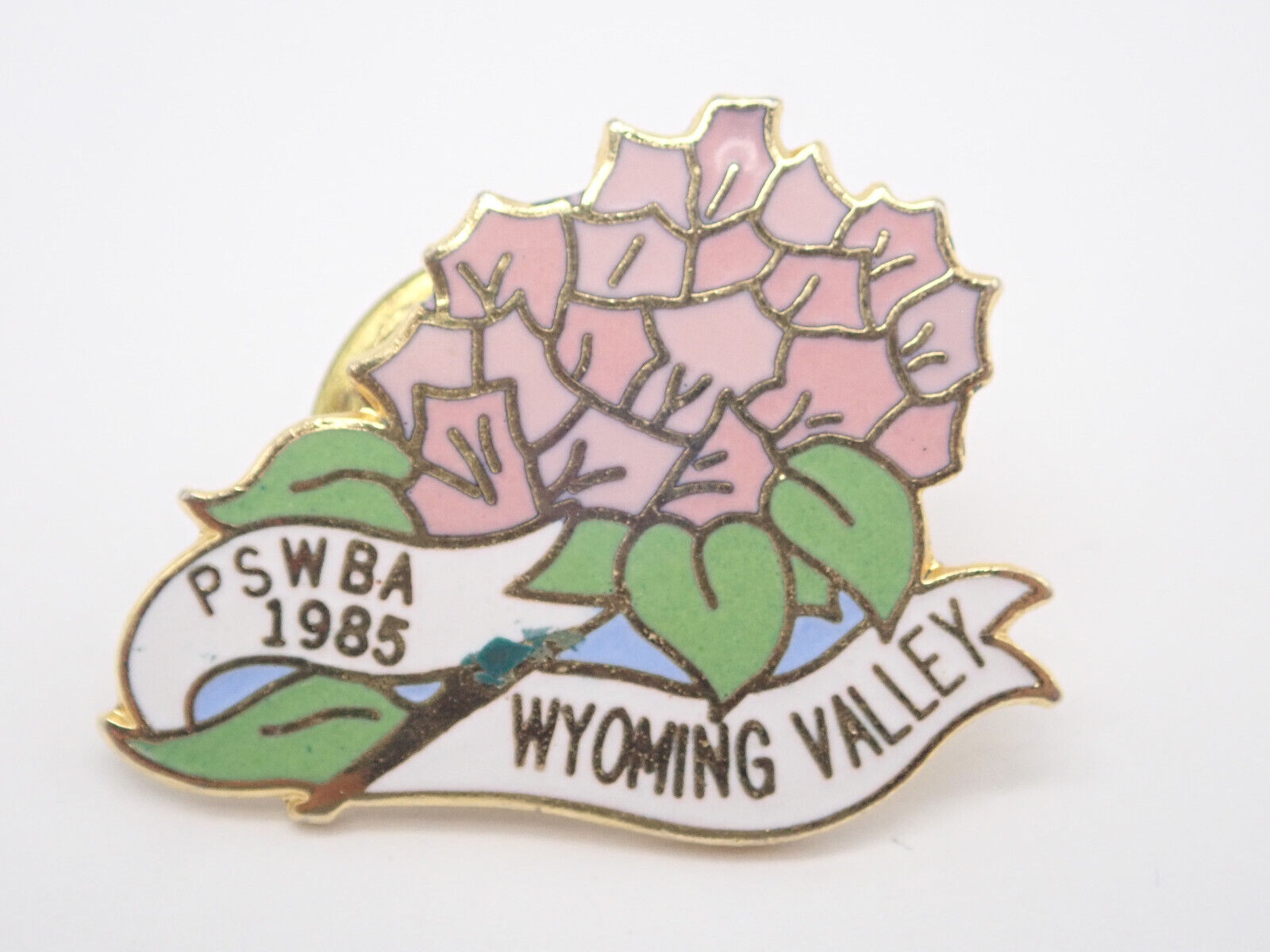 Wyoming Valley Flower Vintage Lapel Pin
