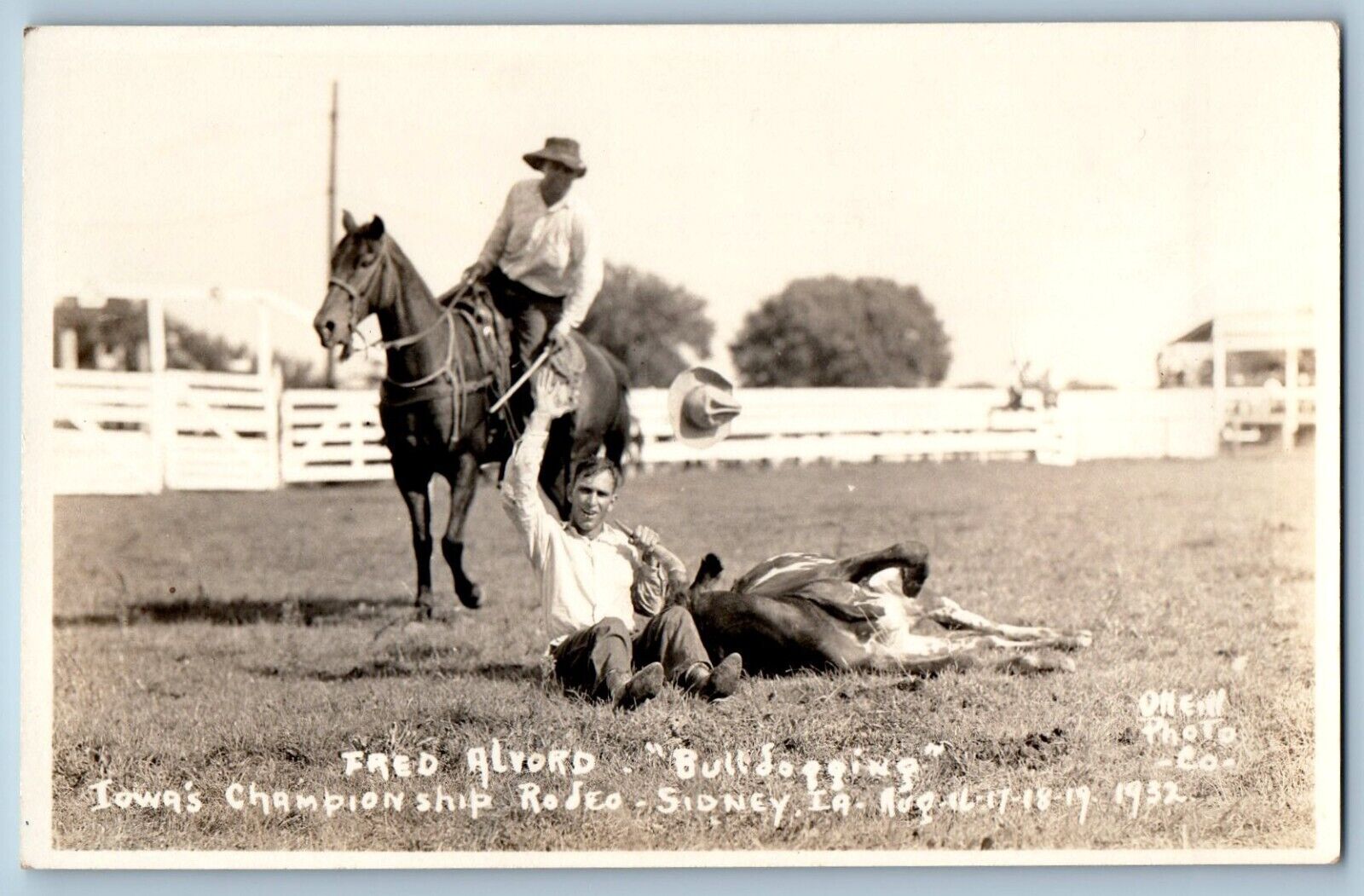 Sidney IA Postcard RPPC Photo Fred Alvord Bulldogging Iowa's Championship Rodeo