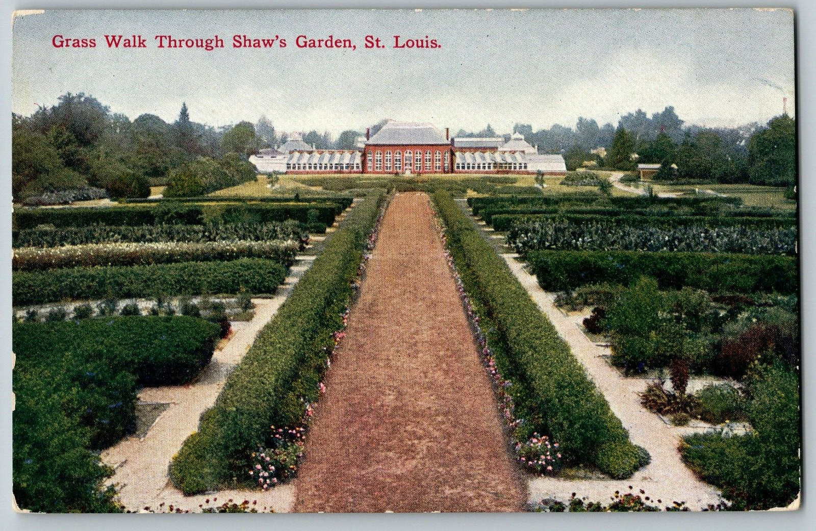 St. Louis, Missouri - Grass Walk Through Shaw\'s Garden - Vintage Postcard