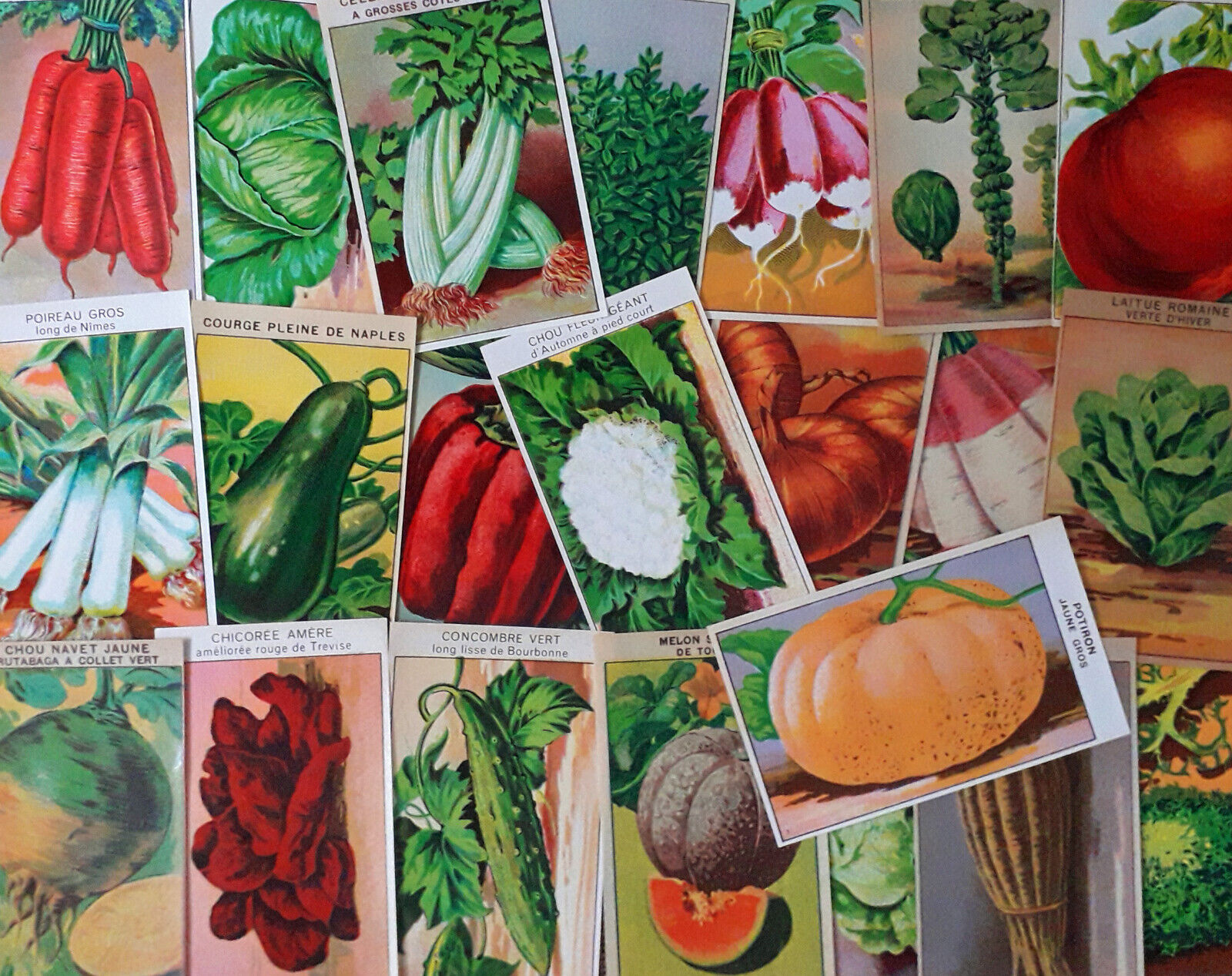 72 Vintage French VEGETABLE Seed Packet Labels lithograph printed in 1920s