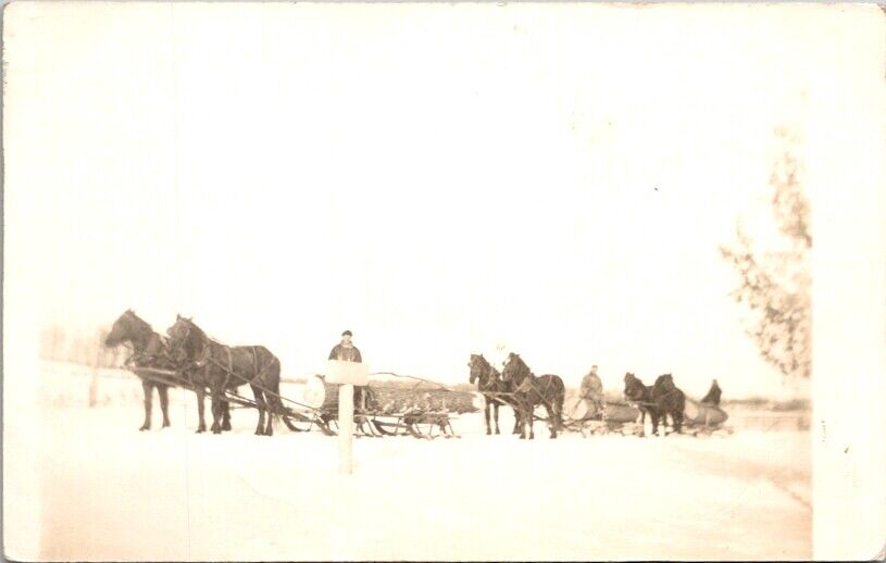  RPPC Postcard Horse Drawn Sled Logging Hauling Logs Winter c.1904-1918     O551