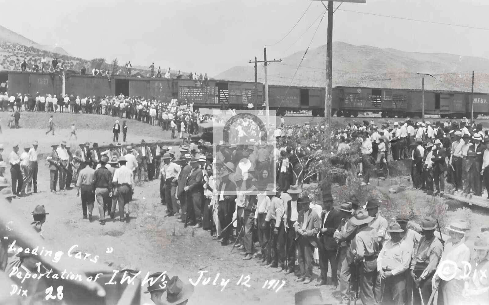 Loading Railroad Cars Deportation Bisbee Arizona AZ Reprint Postcard