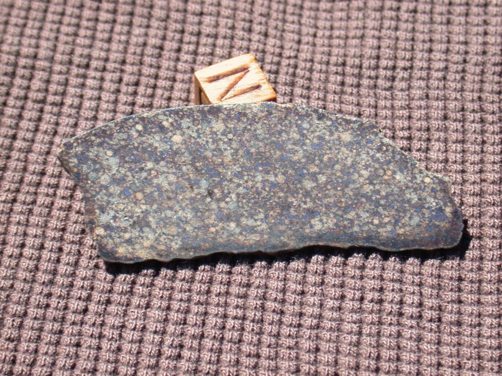 NWA 13447 (H3) - 7.0 gram meteorite slice - ARMOURED CHONDRULES 