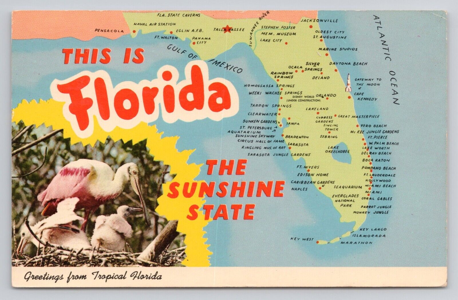Postcard Greetings From Tropical Florida 1970