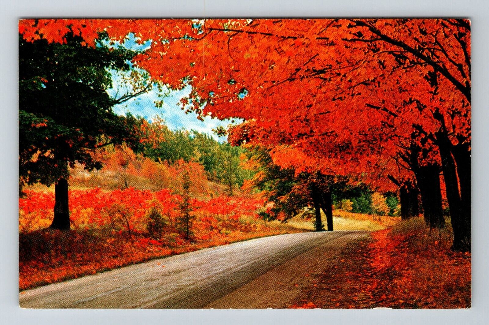 Grand Traverse MI-Michigan Scenic Autumn Scene Changing Colors Vintage Postcard