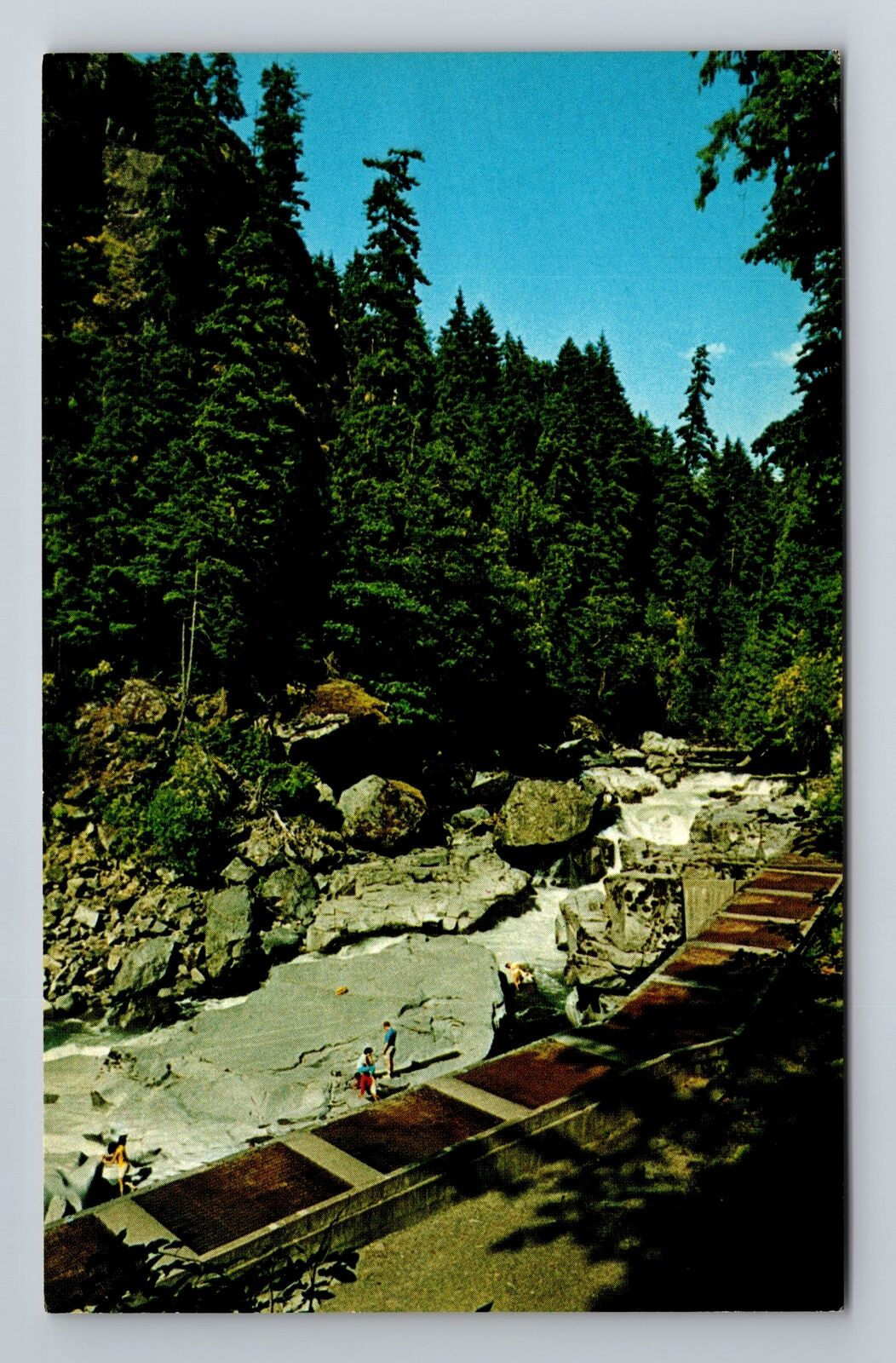 Granite Falls WA-Washington, The Granite Falls Fish Ladder, Vintage Postcard