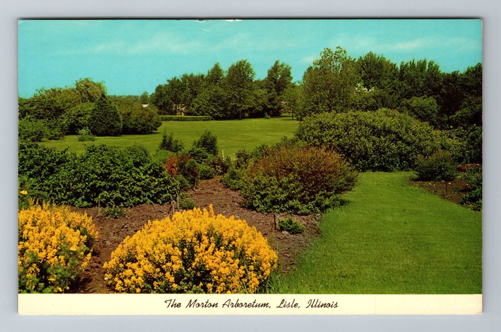 Lisle IL-Illinois, The Morton Arboretum, Vintage Postcard