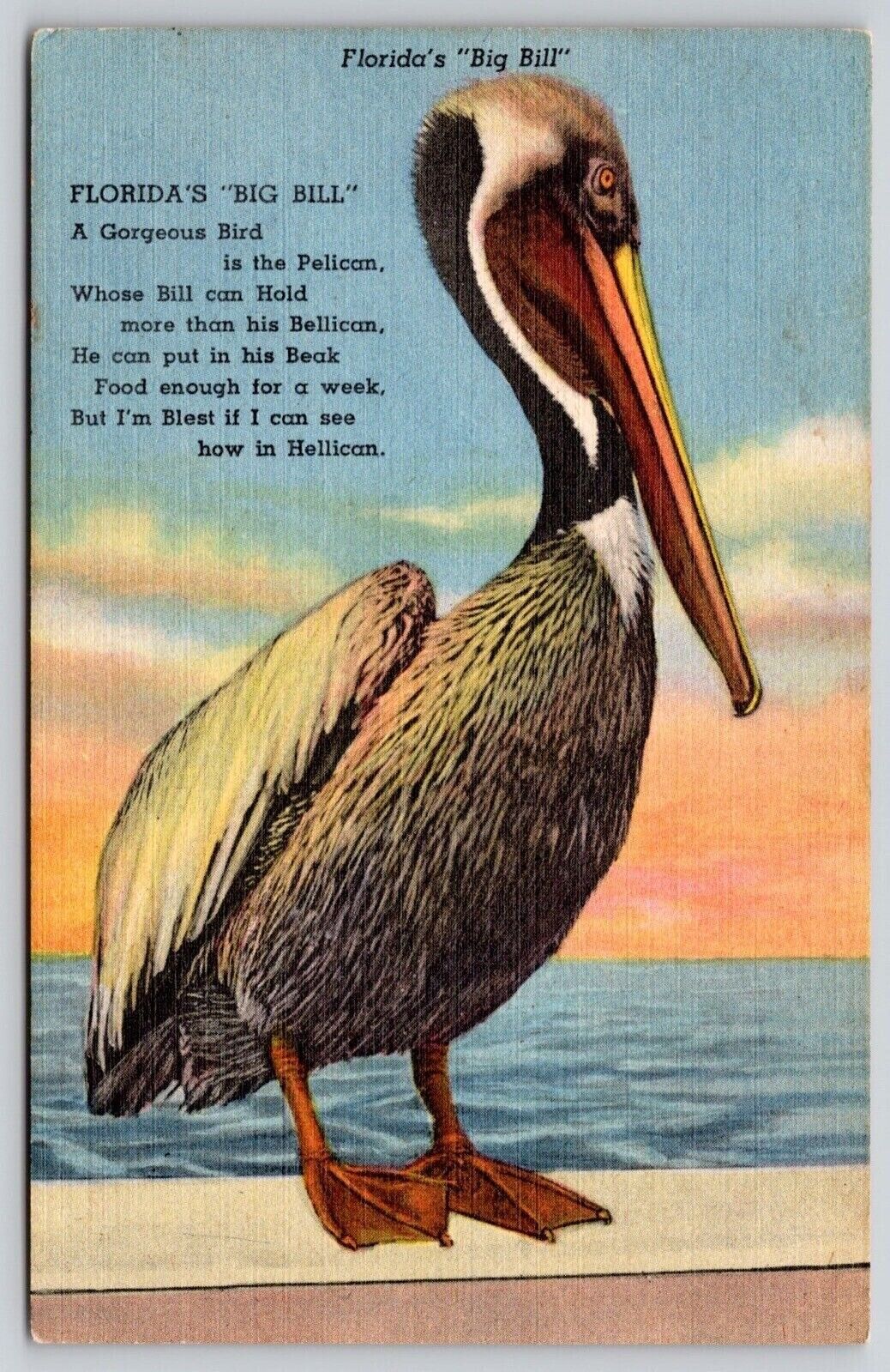 Pelican Floridas Big Bill Sunset Ocean Scene FL Linen Postcard UNP VTG Curteich