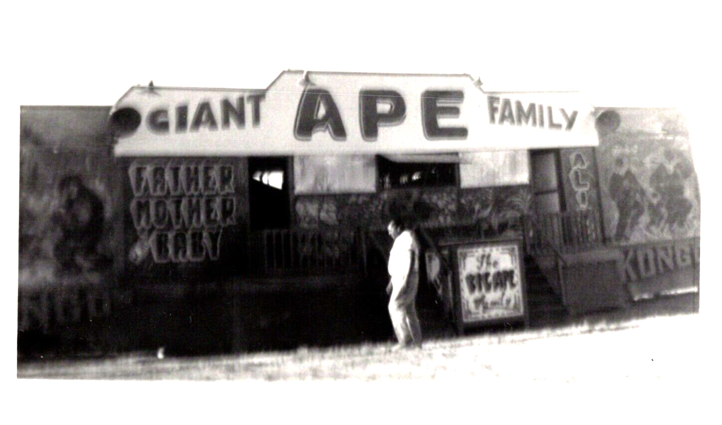 1950\'s GIANT APE FAMILY traveling sideshow OOAK original photograph