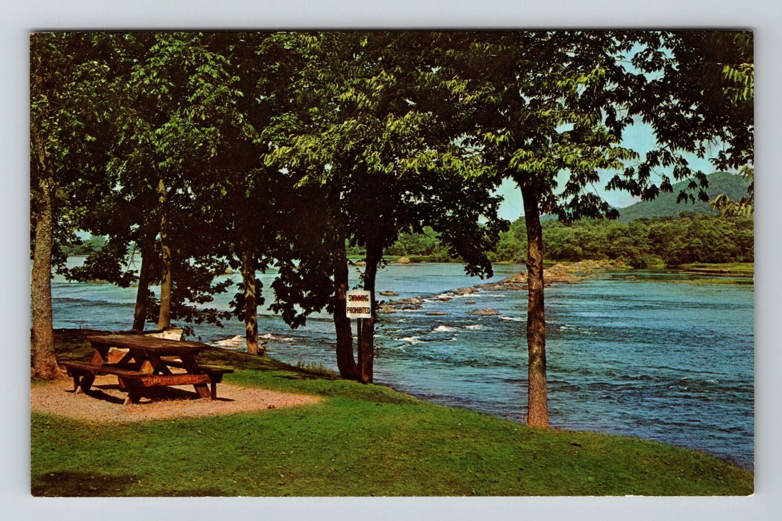Port Trevorton PA-Pennsylvania, River Scenic View, Vintage Postcard