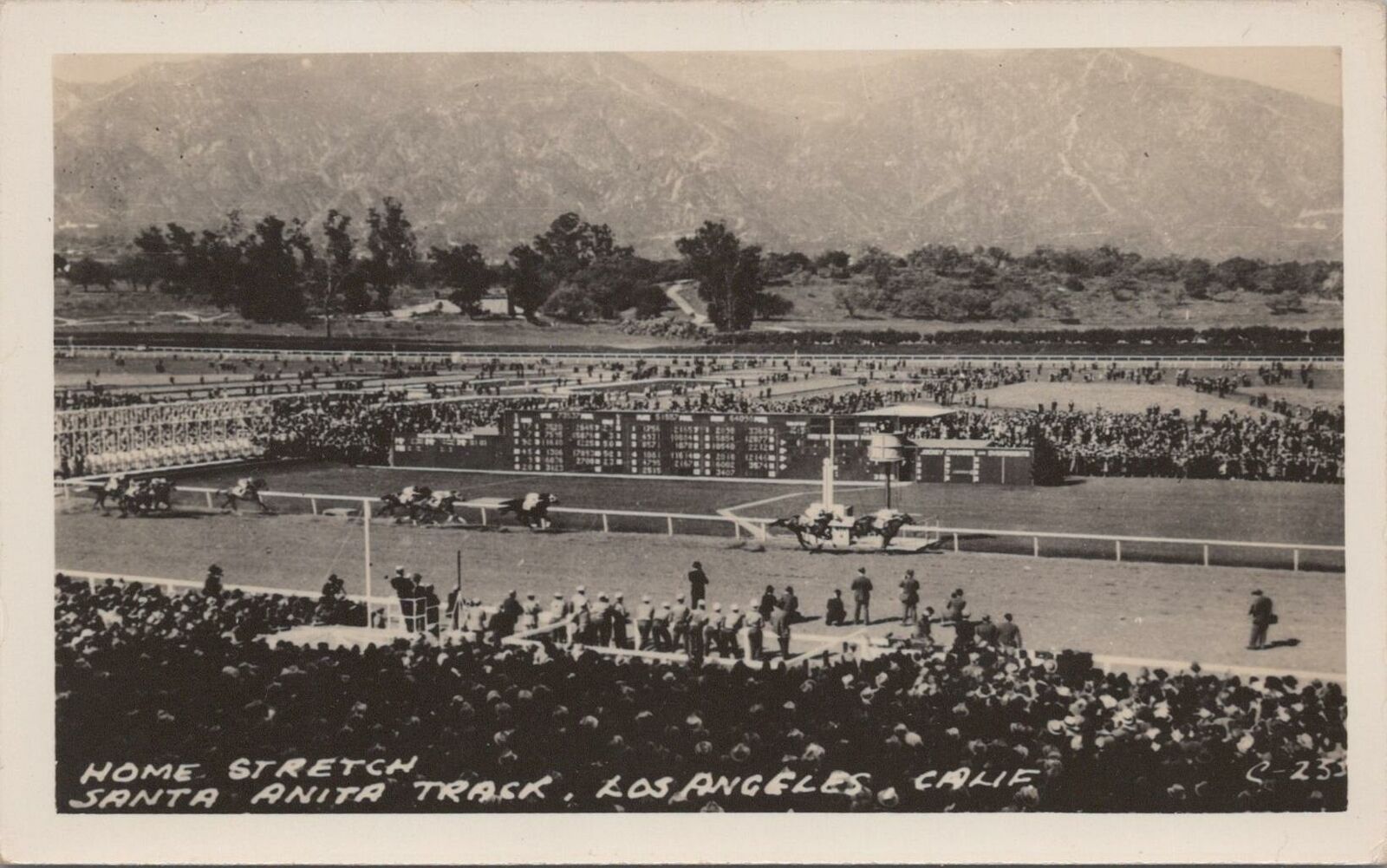 RPPC Postcard Home Stretch Santa Anita Track Los Angeles CA 