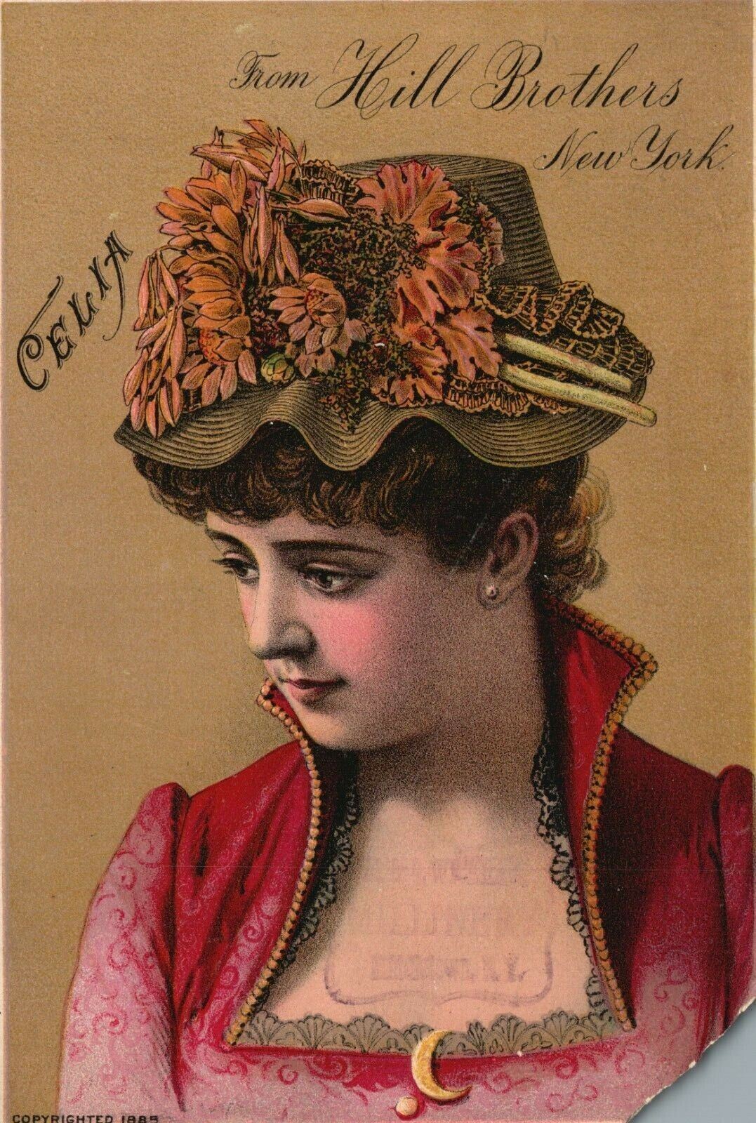 1880s-90s Young Girl Dressed Celia Hill Brothers Millinery Goods Trade Card