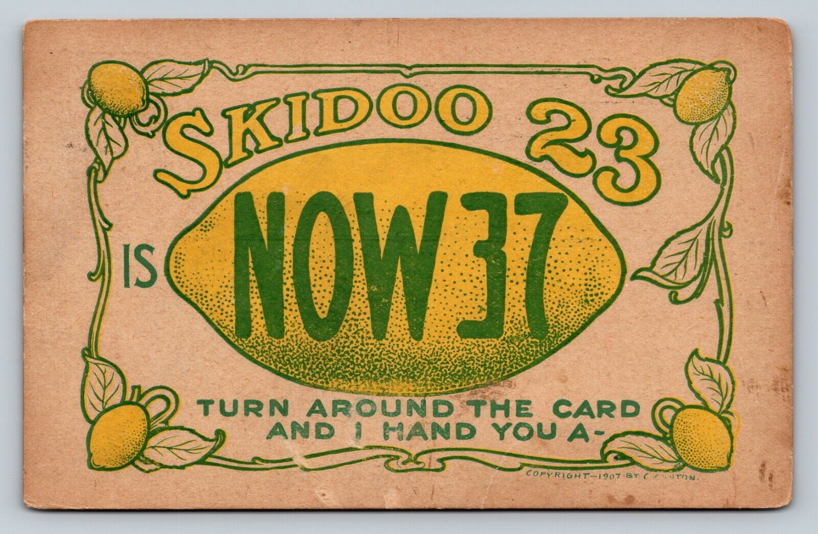1907 Skidoo 23 with Visual Trickery LEMON ANTIQUE Humor Comic Postcard