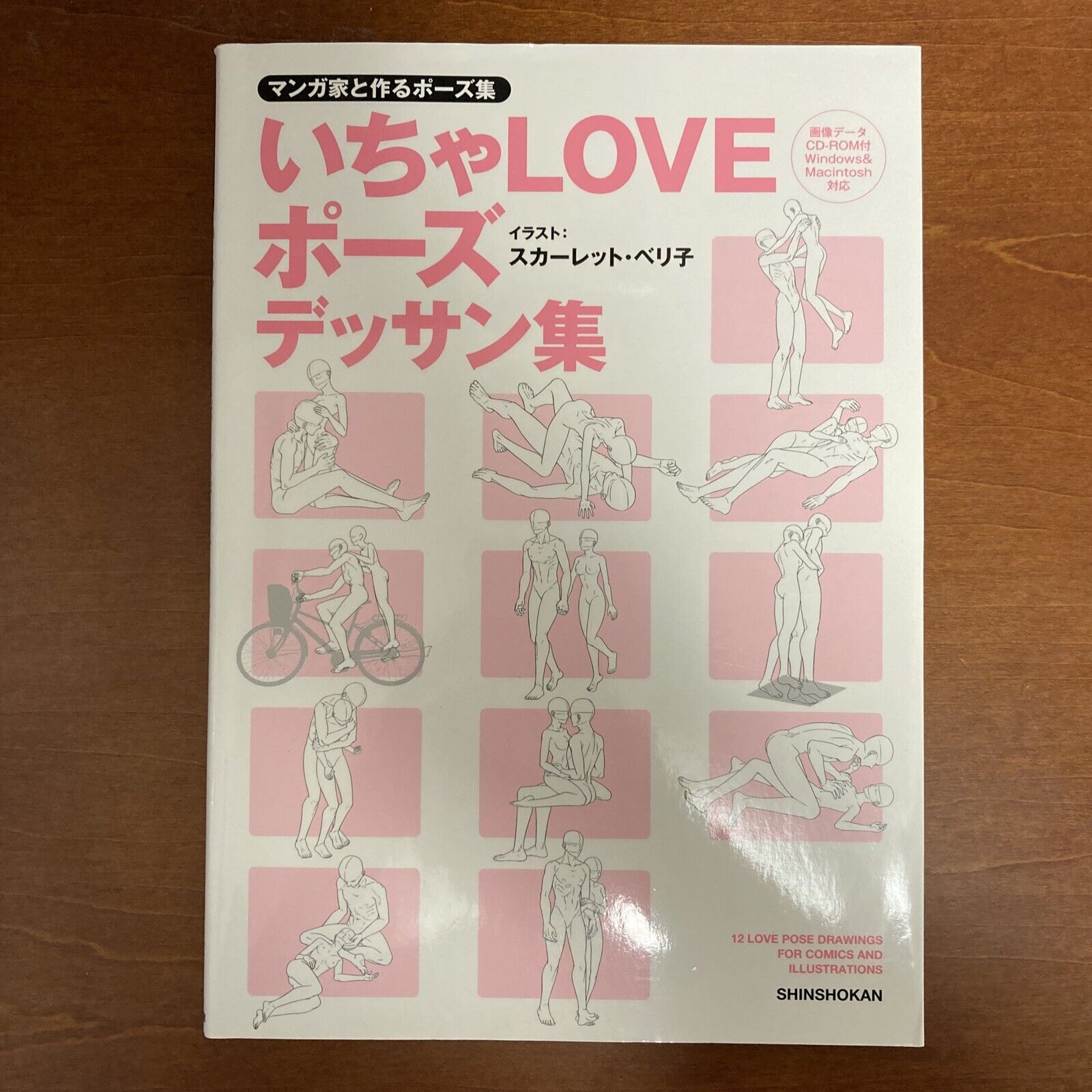 How to Draw BL YAOI Manga LOVE Pose Dessin Art Guide Book