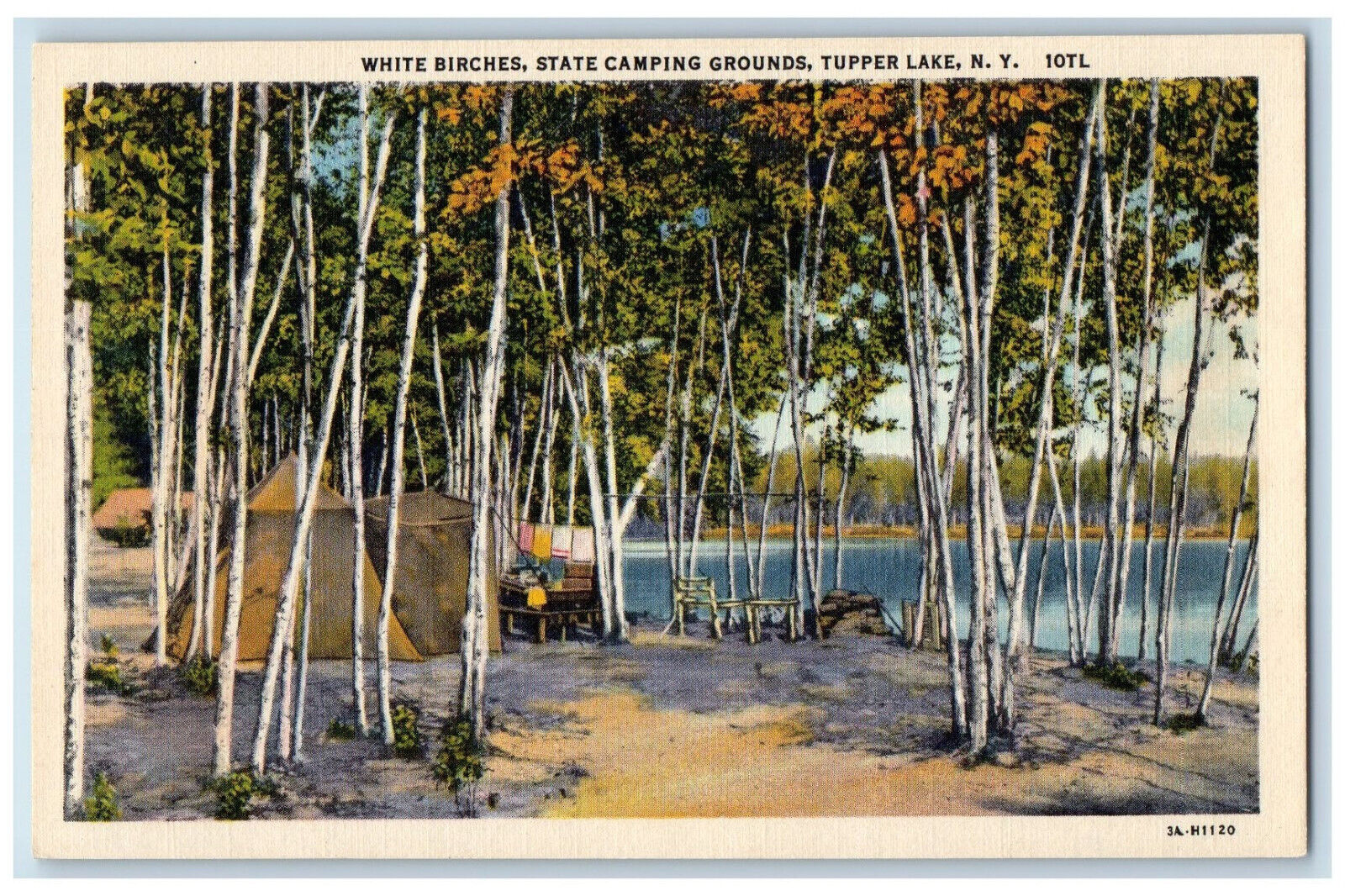 c1940\'s White Birches, State Camping Grounds, Tupper Lake NY Postcard