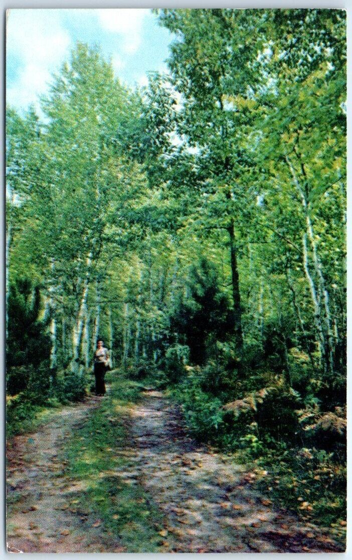 Postcard -- Greetings from Burt Lake State Park, Michigan