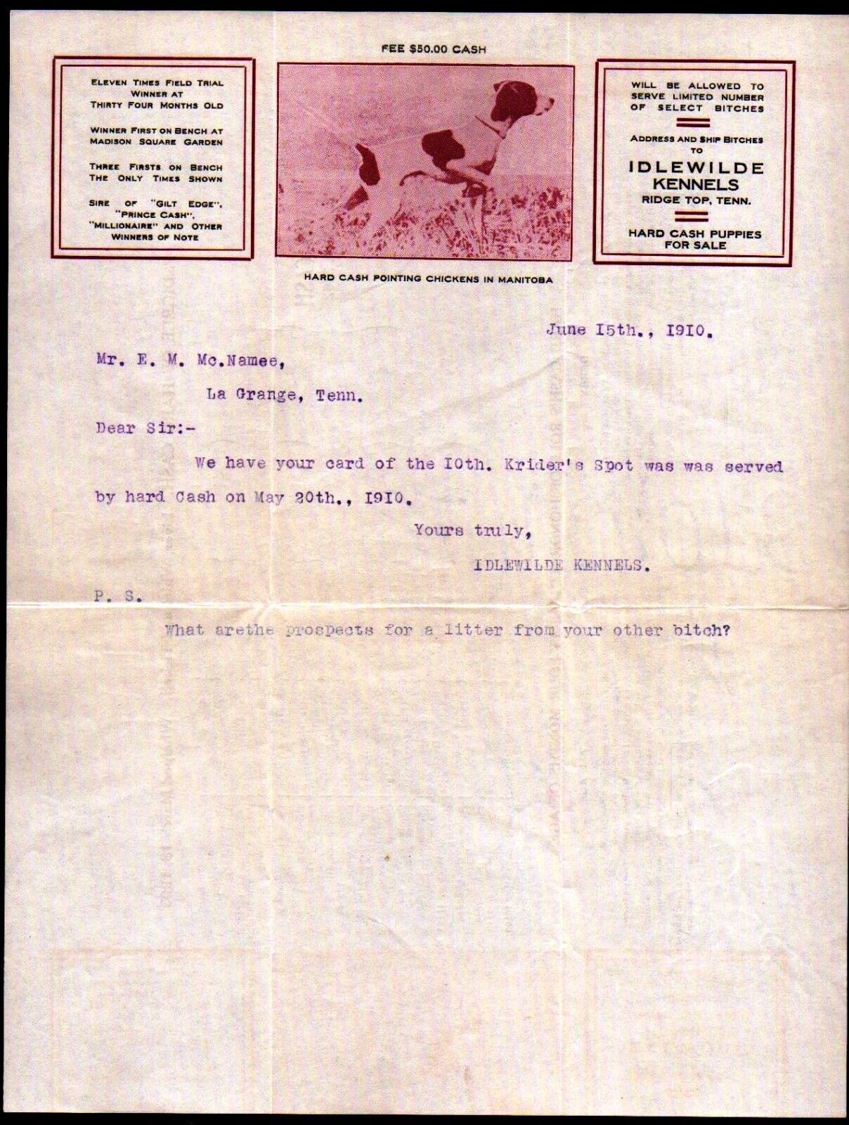 1910 Ridge Top Tn - Idlewilde DOG Kennels - Hand Cash Puppies - Letter Head Bill