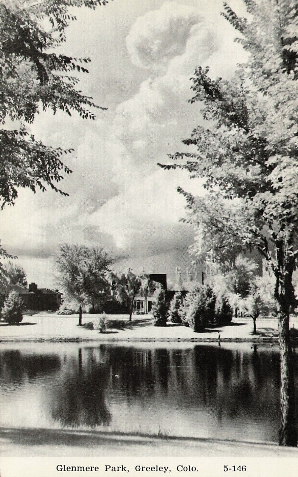 Glenmere Park Greeley Colorado 1940s Printed Photo Postcard