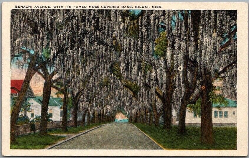 1950s BILOXI, Mississippi Postcard \