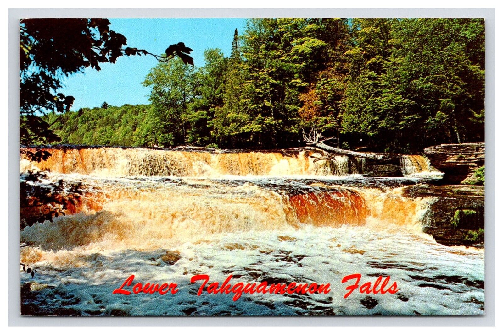 Postcard: MI Lower Tahquamenon Falls, Michigan - Unposted