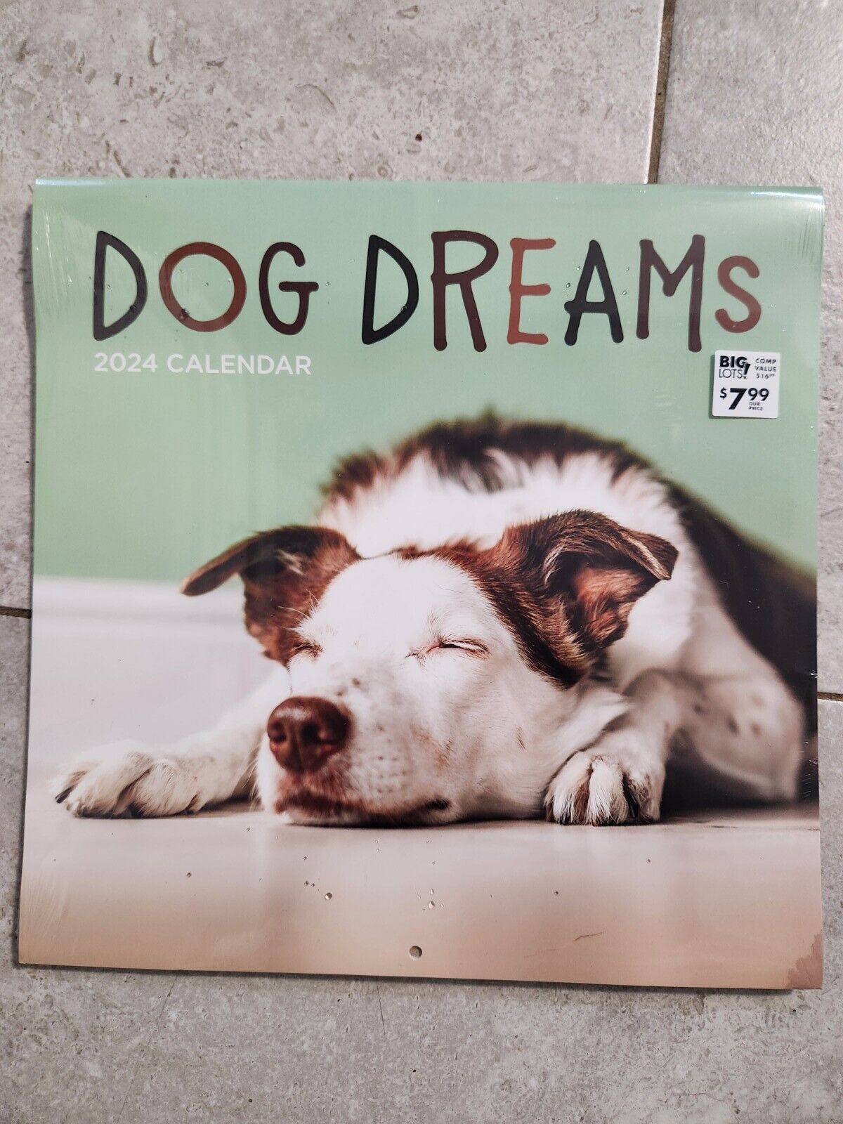TF Publishing,  Dog Dreams 2024 Wall Calendar