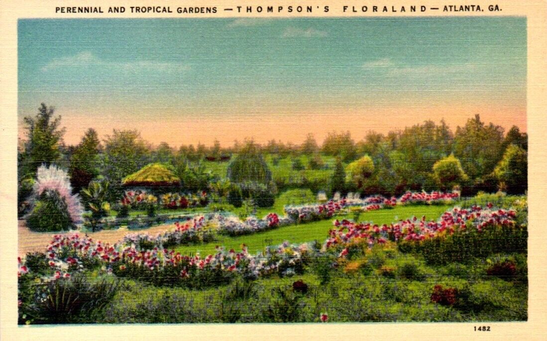 Perennial And Tropical Gardens Thompson\'s Floraland Atlanta Georgia Postcard