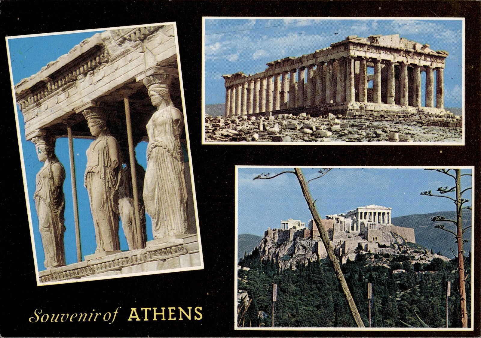 Postcard Souvenir of Athens in Athens Greece Unposted Not Used