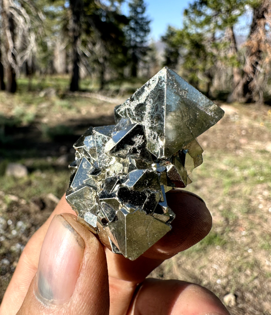 Pyrite Octaheadrons, Cluster,  Aesthetic Mineral Specimen, Huanzala Mine, Peru
