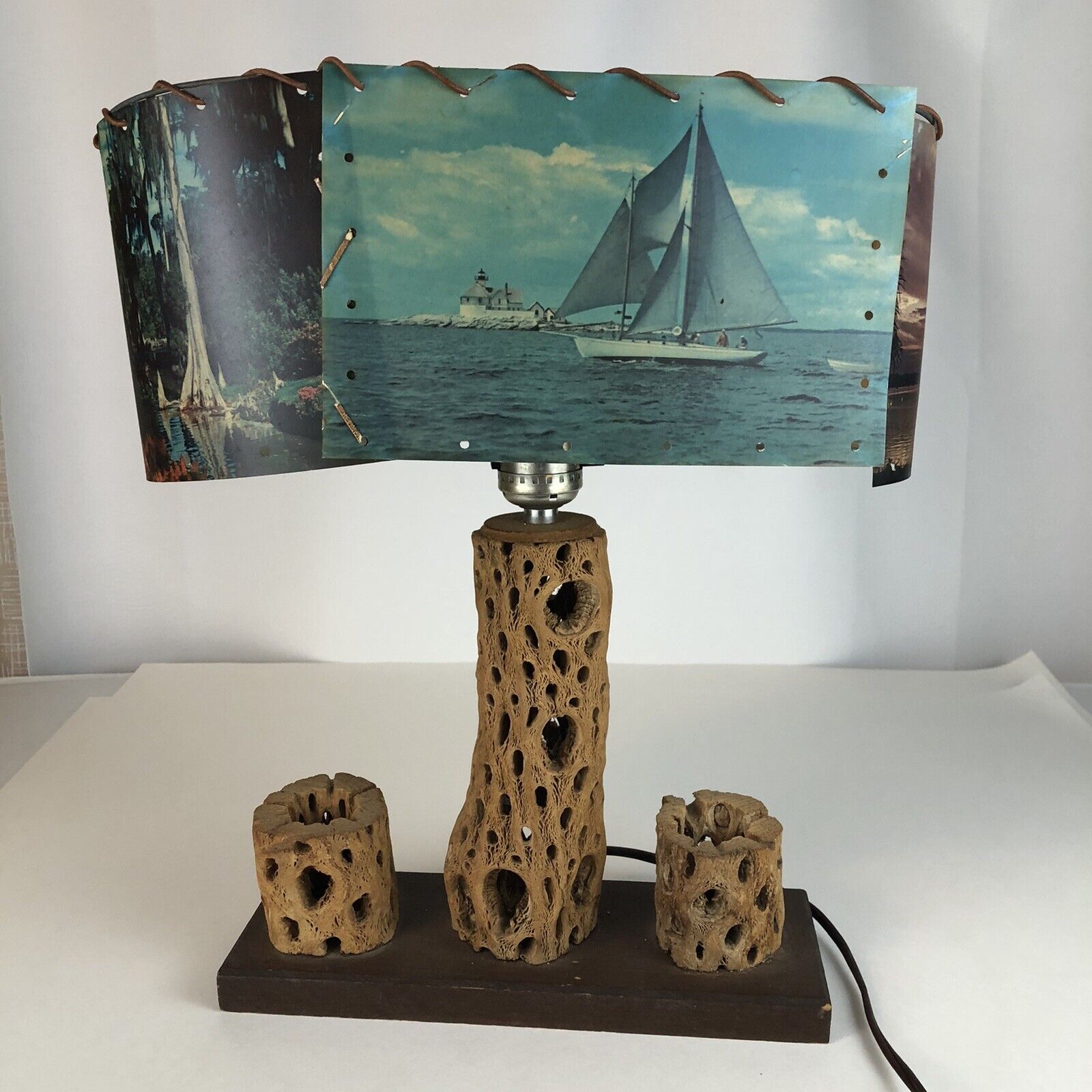 Vintage Southwest Mid Century Cholla Cactus Lamp With Photo Shade Handmade