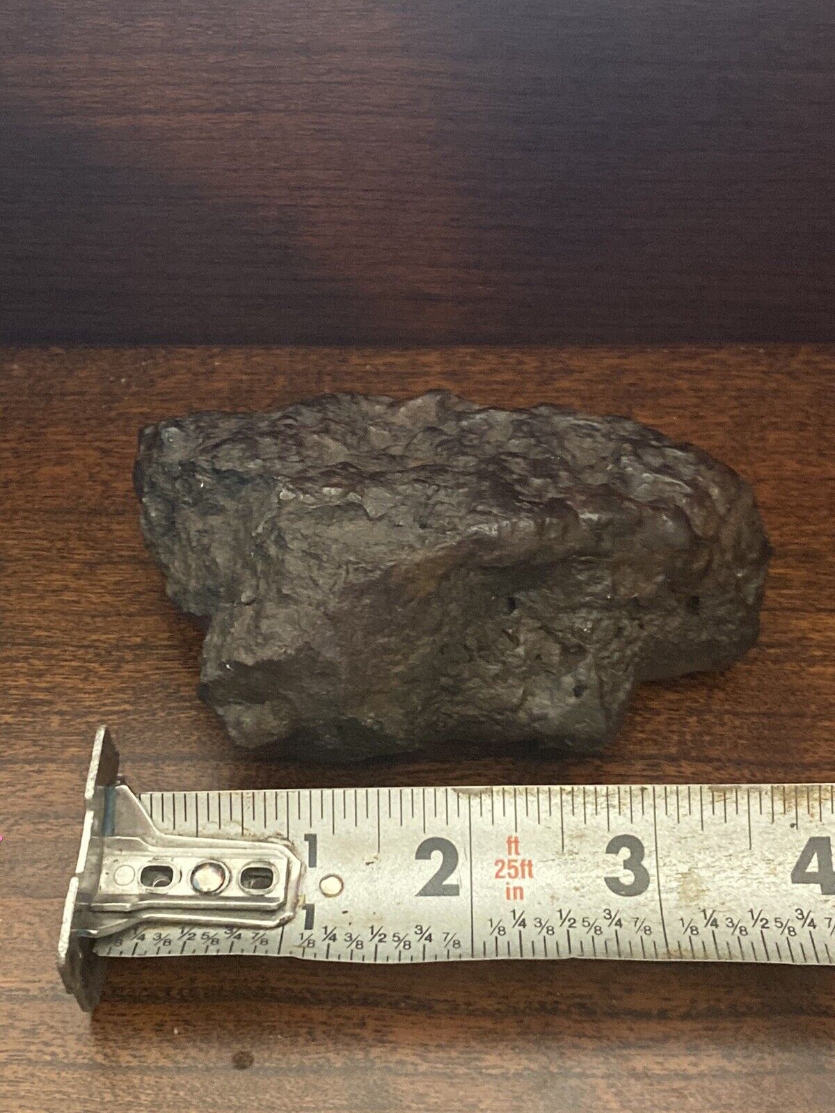Meteorite 394 Grams