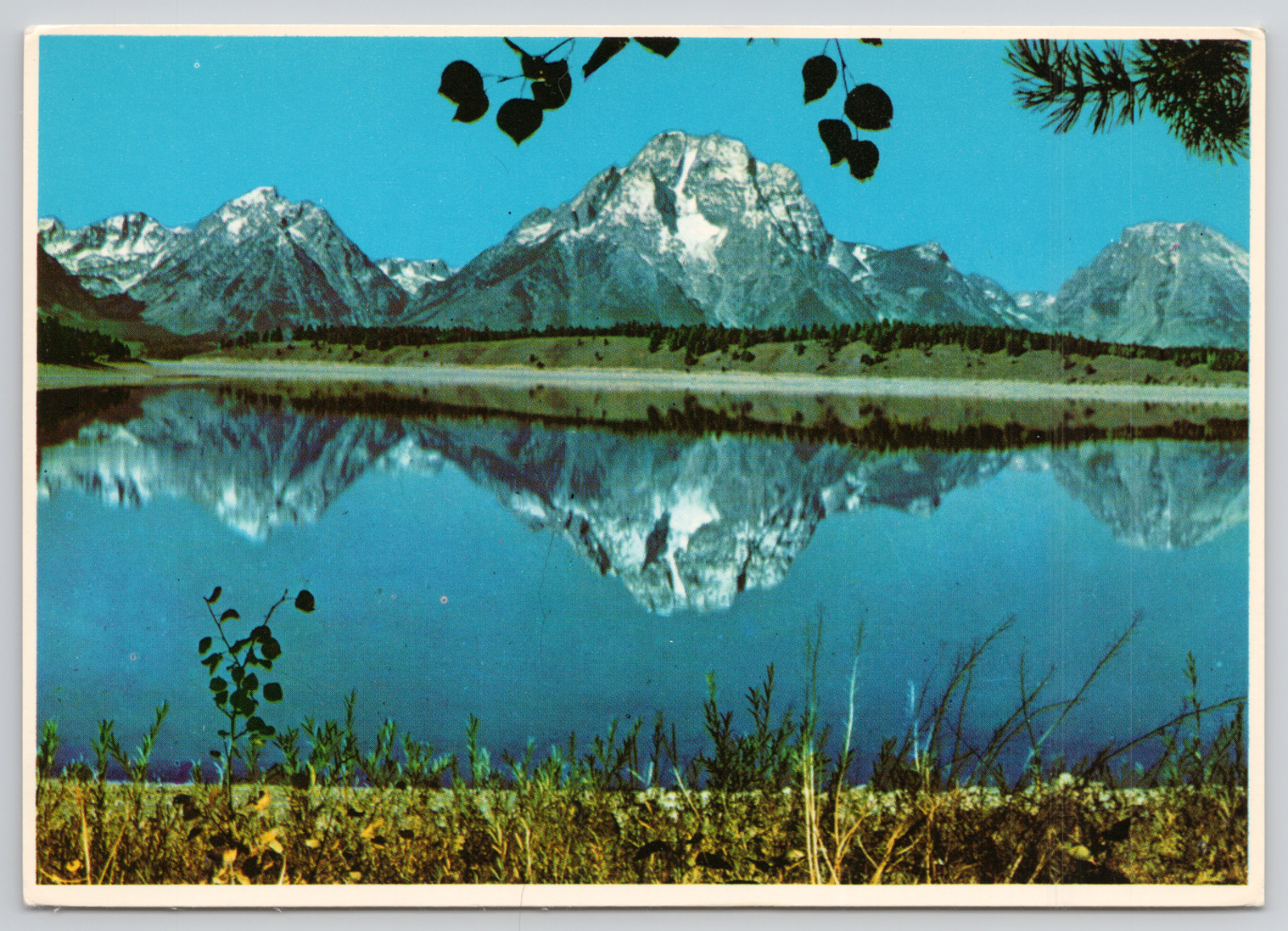 Wyoming Jackson Lake Grand Teton National Park Continental Chrome Vtg Postcard
