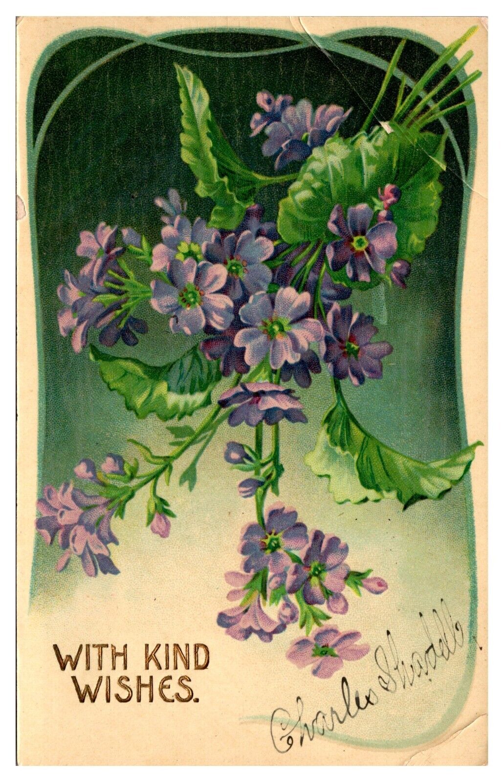 With Kind Wishes, Floral, Embossed, c. 1910, Greetings Postcard