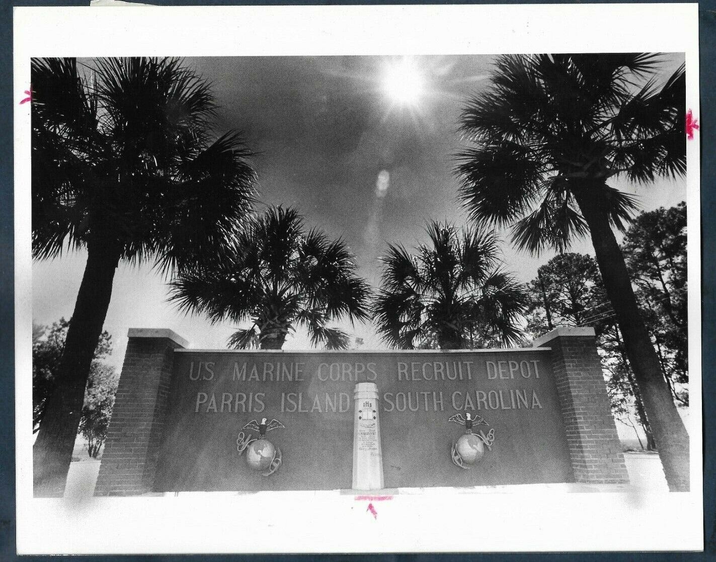 PALM TREES ON THE PARRIS ISLAND BOOT CAMP FRONT GATE ORIG 1988 Press Photo Y 88