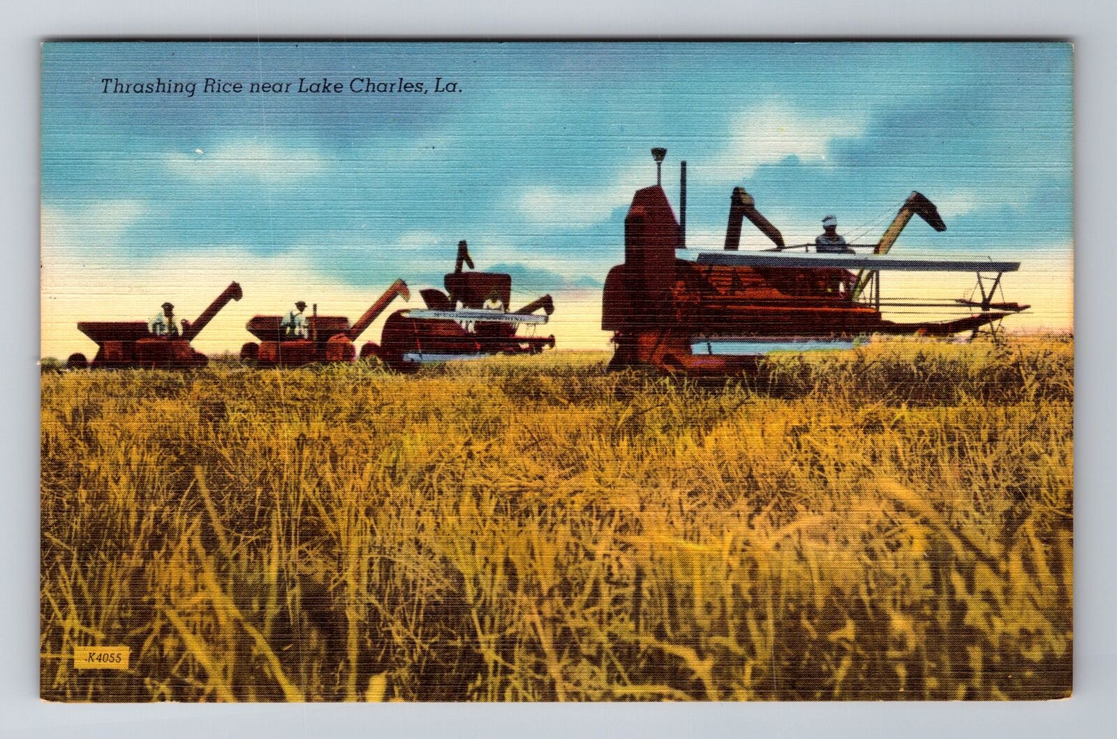 Lake Charles LA-Louisiana, Thrashing Rice, Antique, Vintage Souvenir Postcard