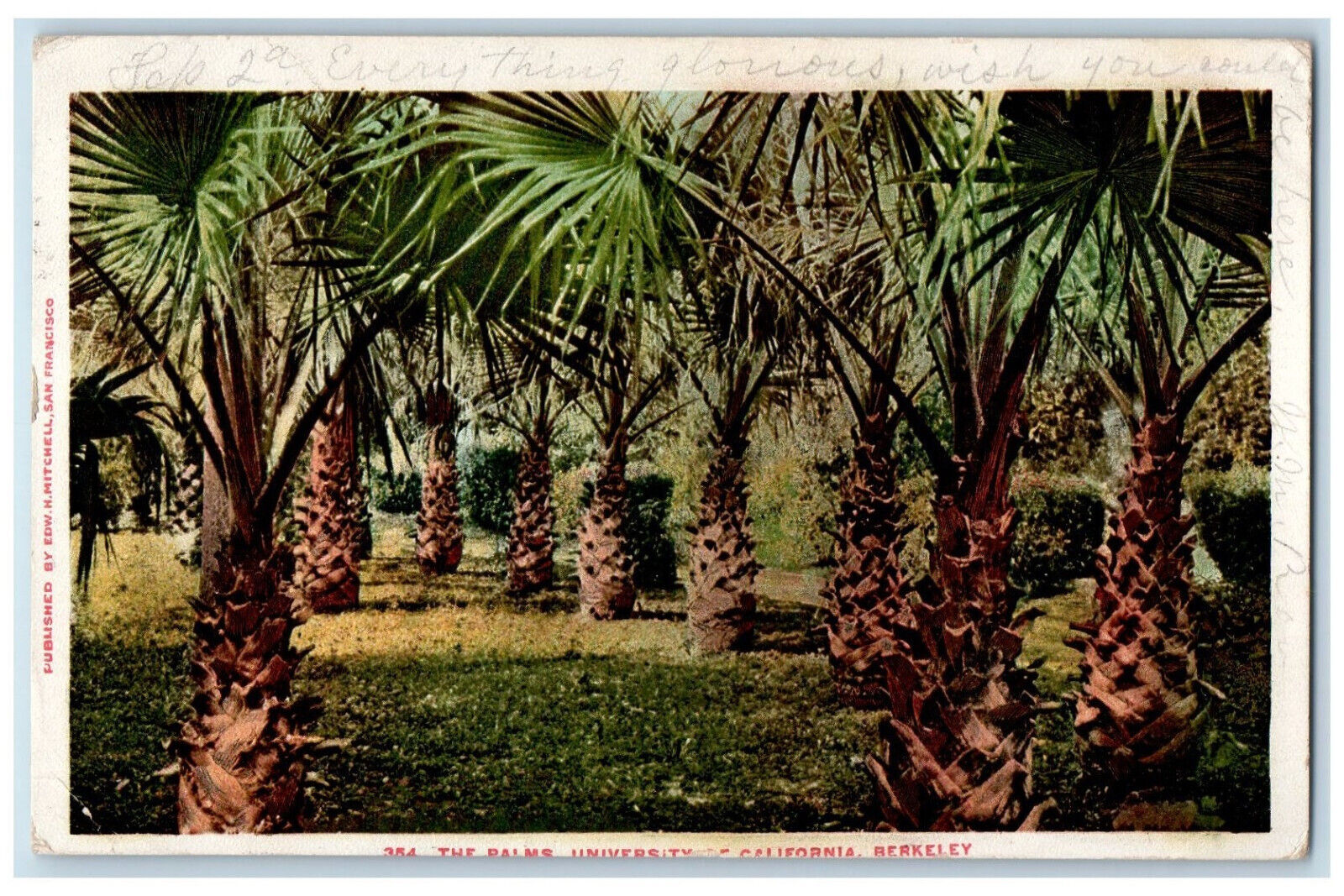 1904 The Palms University Of California Berkeley San Francisco  CA Postcard