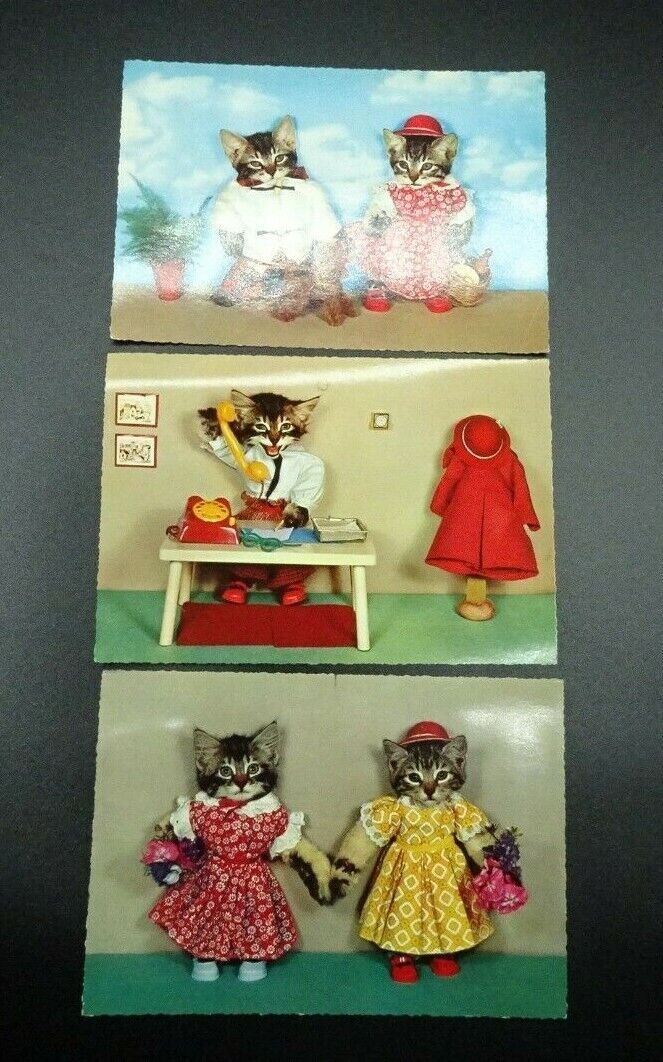 3 Vintage Kruger Anthropomorphic Tabby Cats / Dressed Up Cats / Postcards