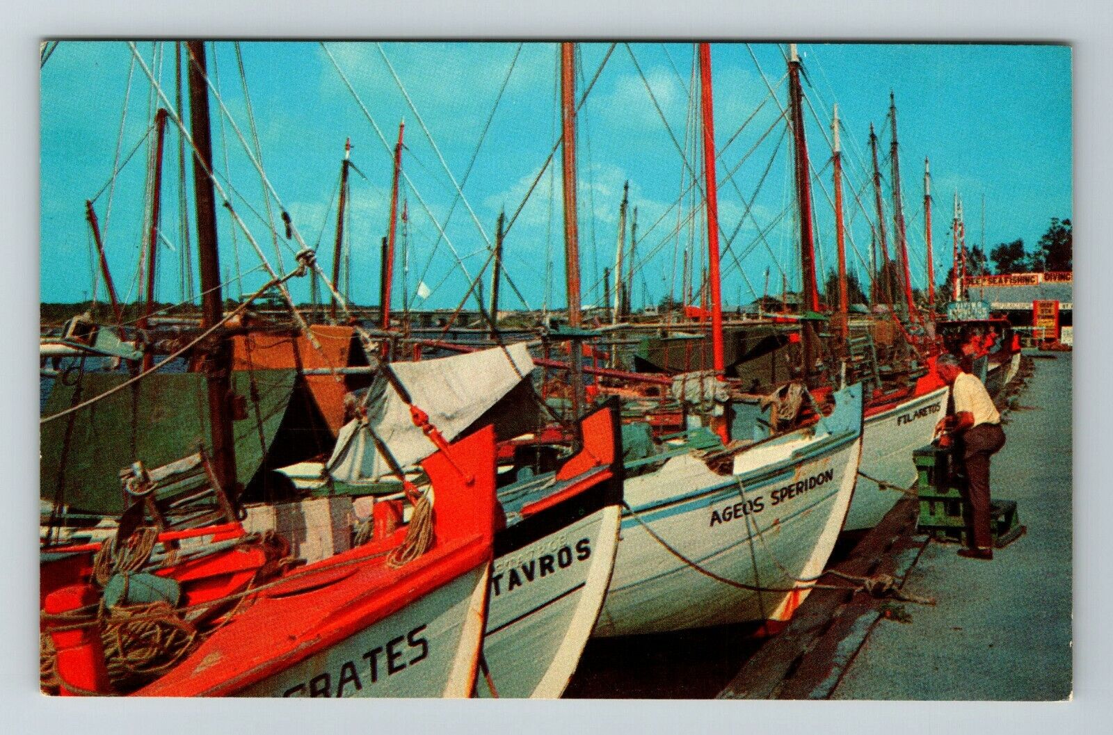 Tarpon Springs FL-Florida, Sponge Fleet At Docks  Vintage Souvenir Postcard